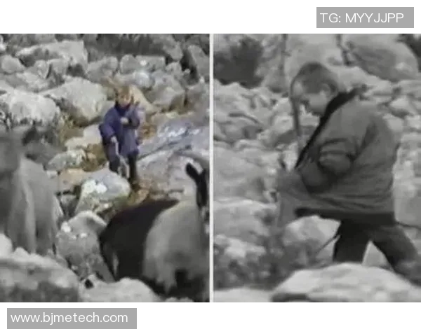 从放羊娃到足球明星的传奇人生与梦想追逐之路 从放羊娃到足球明星的传奇人生与梦想追逐之路