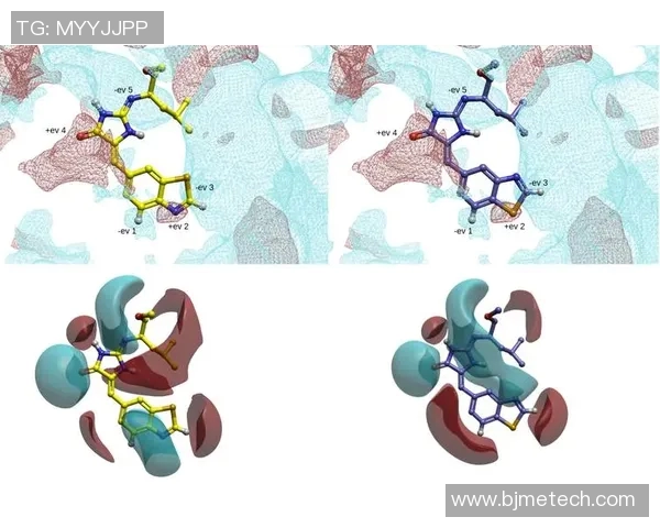 体育俱乐部管理制度的优化与实施策略探讨与研究分析