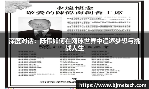 深度对话：陈伟如何在网球世界中追逐梦想与挑战人生