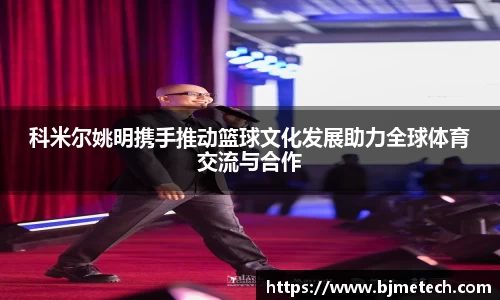 B体育bsports