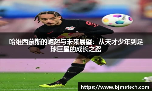 bsports官网