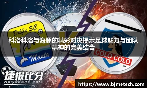 B体育bsports